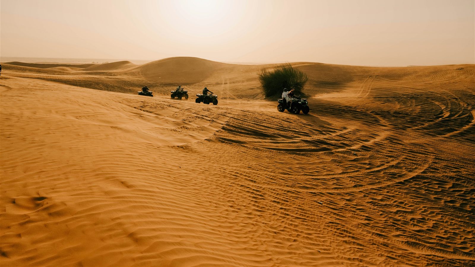 Desert Safari